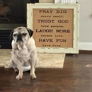 Meet your Posher, Jasmin